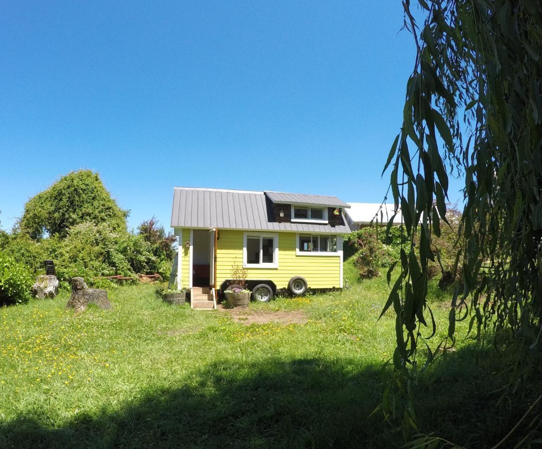La Guapa Hostel ปูแอร์โตบารัส ภายนอก รูปภาพ