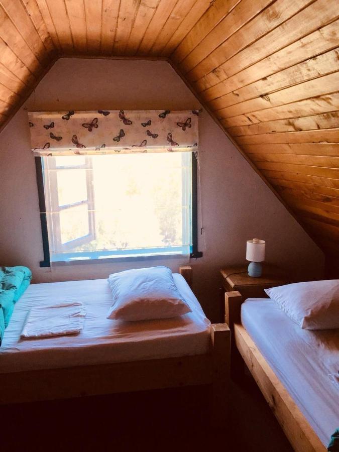 La Guapa Hostel ปูแอร์โตบารัส ภายนอก รูปภาพ
